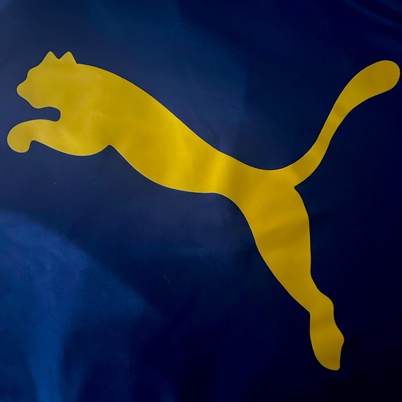 Medium Blue Puma Hoodie w Puma Emblem Front/Back + Lighter Blue/Yellow Stripping - Picture 2 of 5